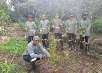 equipe de colaboradores do reflorestamento reparatório